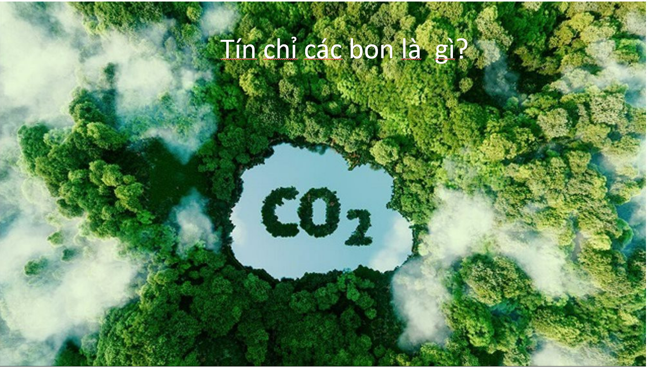 Tín chỉ các bon